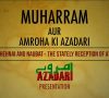 10th Muh Taziya Ziyarat Amroha Azadari Live 2023